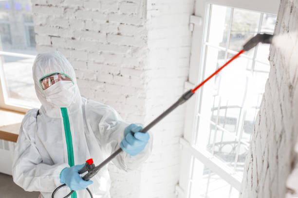 Best Commercial Mold Inspection  in North Miami Beach, FL