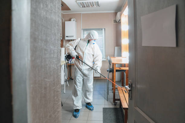 Best Mold Prevention Services  in North Miami Beach, FL