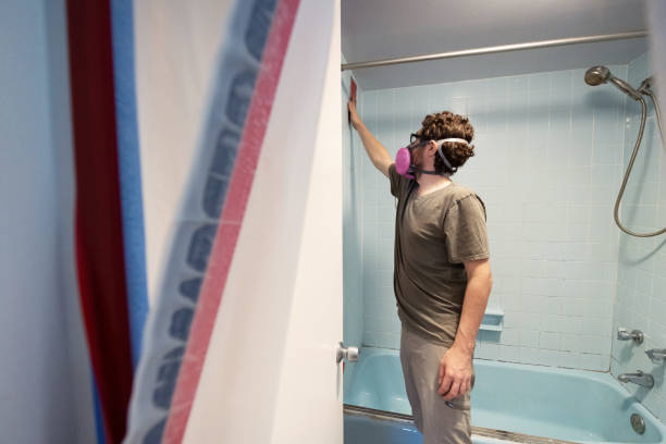  North Miami Beach, FL Mold Removal Pros