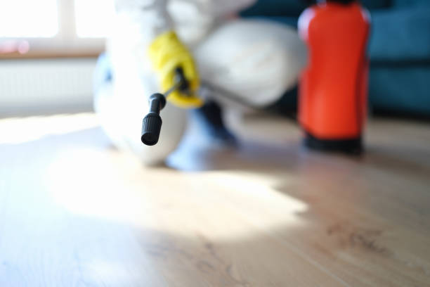 Trusted North Miami Beach, FL Mold Removal Experts